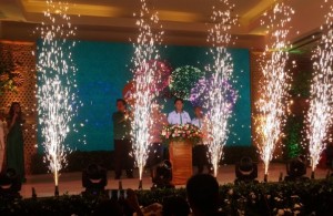 AKR Land Development Luncurkan Cluster Amethyst